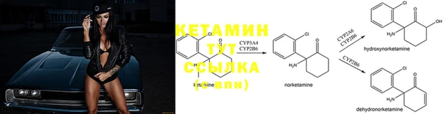ECSTASY Волоколамск