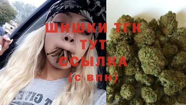 соль ск Волосово