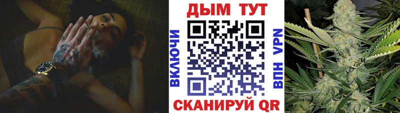 МАРИХУАНА план  Купить  Малая Вишера 